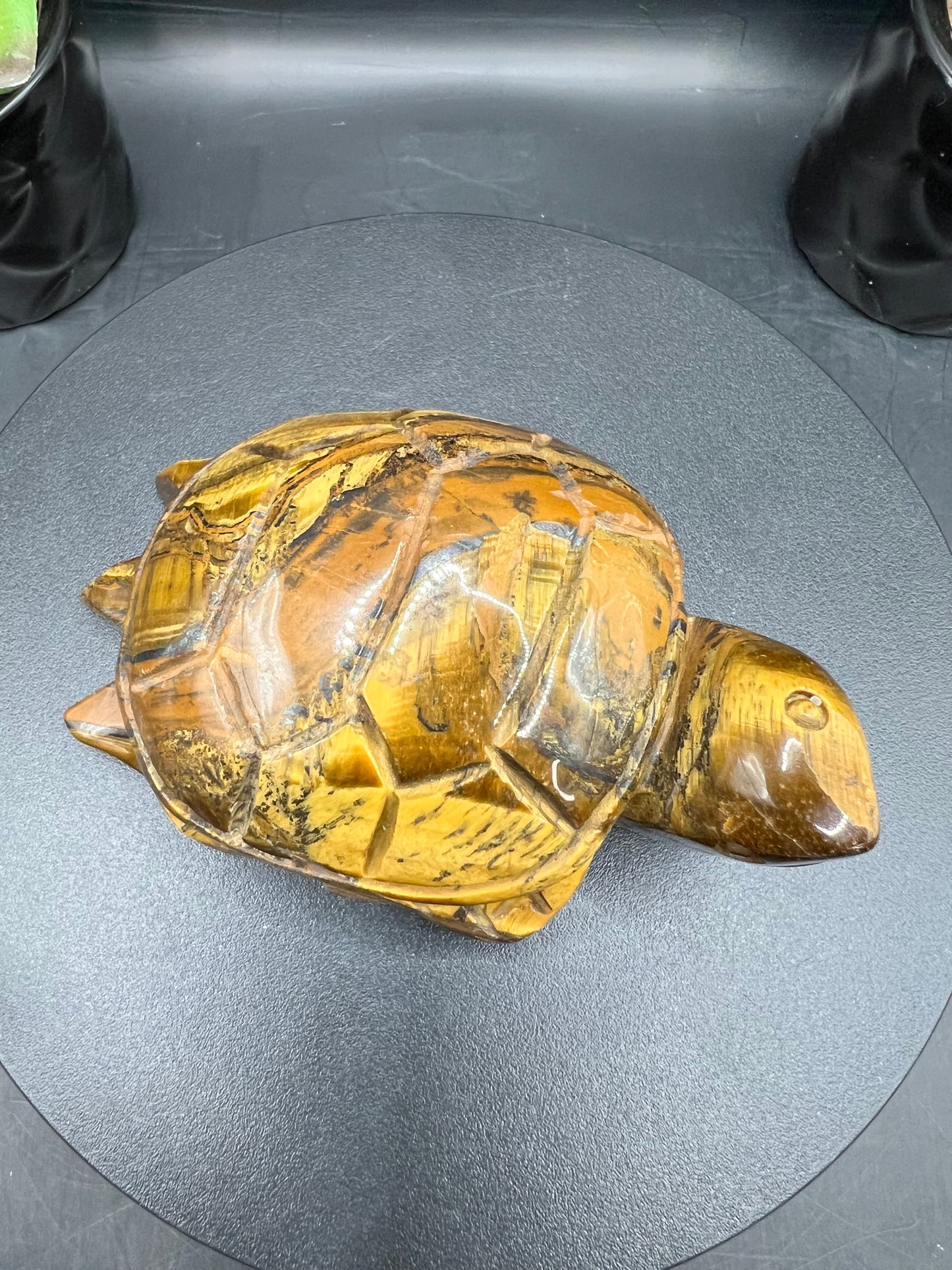 TIGERS EYE TURTLES