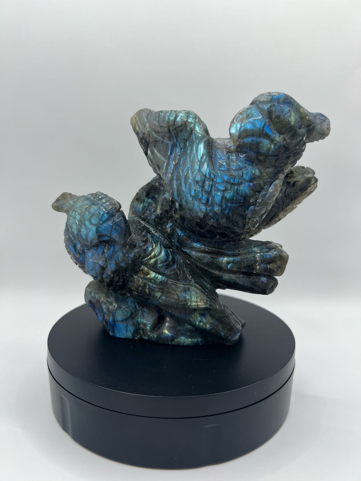 SUPER BLUE FLASH LABRADORITE PARROT CARVING