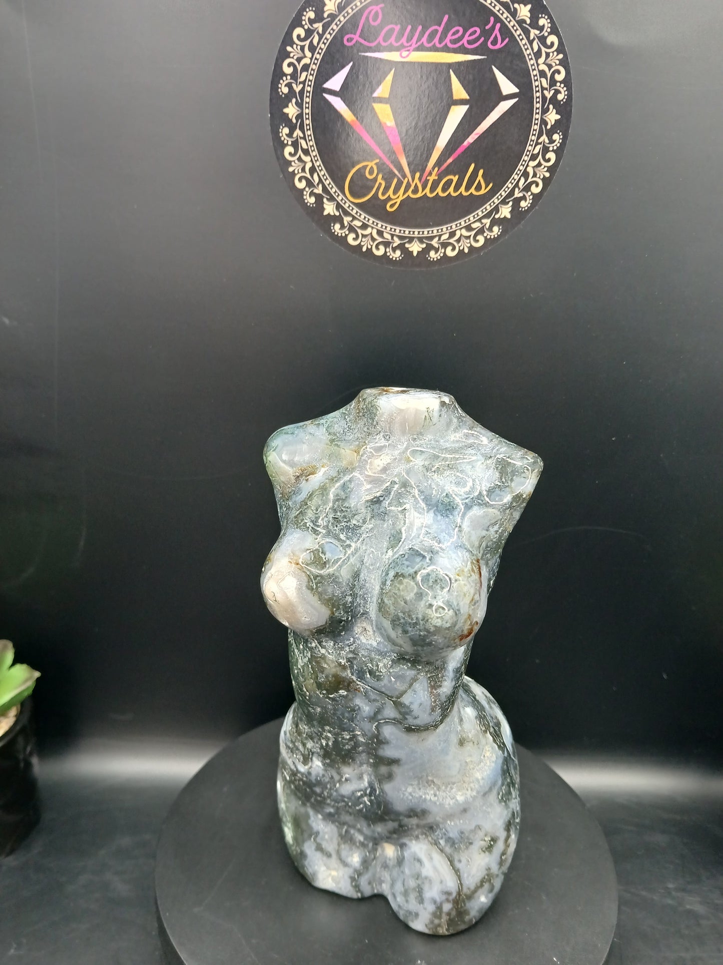 LARGE MOSS AGATE LADYBODIES