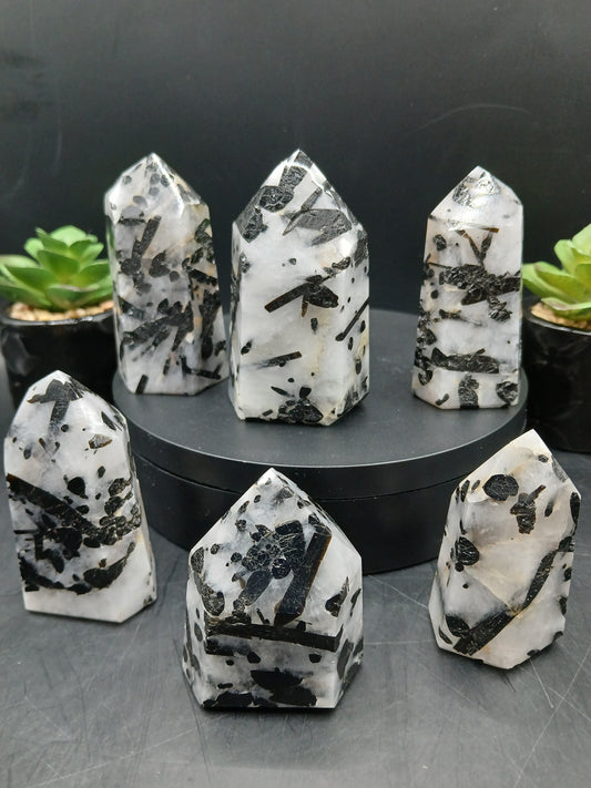TOURMALINE IN QUARTZ POINTS