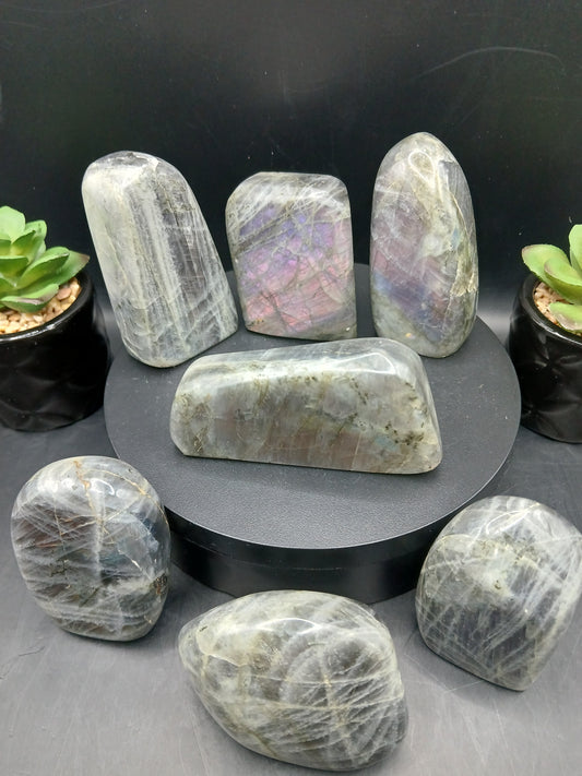 LABRADORITE MINI FREEFORMS
