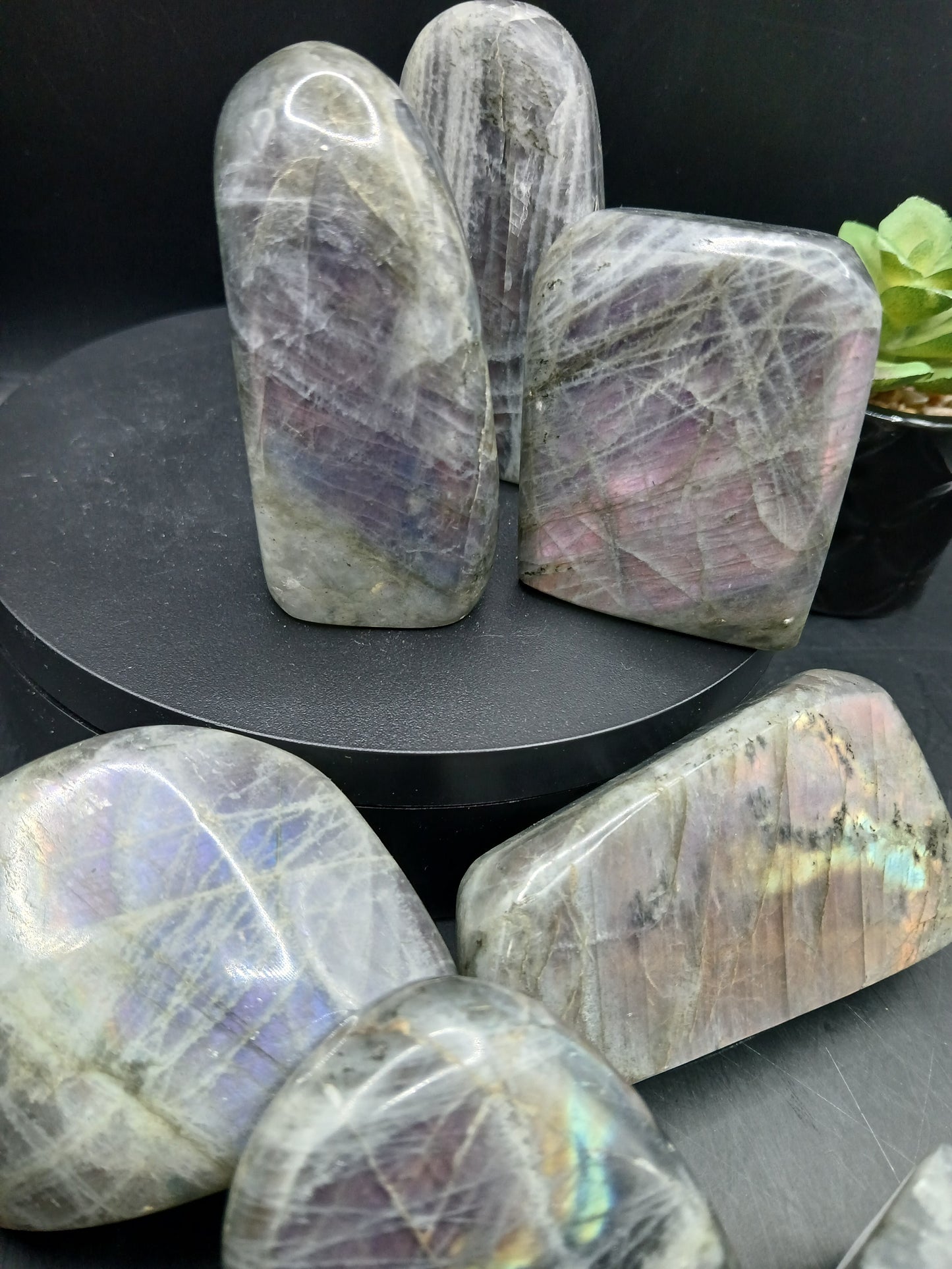 LABRADORITE MINI FREEFORMS